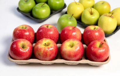 Hogyan javíthatják a nagy{0}}precíziós formák a cellulózcsomagolás tömörségét?